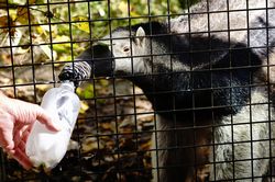 �I�I�A���N�C14