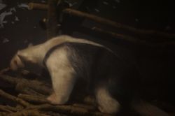 �~�i�~�R�A���N�C2