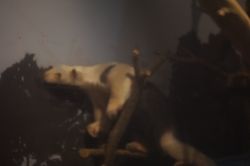 �~�i�~�R�A���N�C3