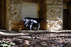 �I�I�A���N�C3