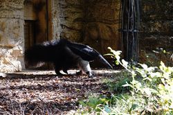 �I�I�A���N�C5""