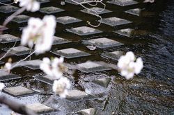 �����R�K��