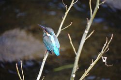 �J���Z�~��1