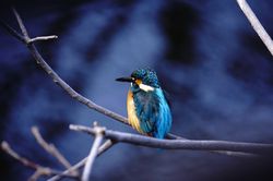 �J���Z�~��2