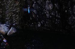 �J���Z�~��3