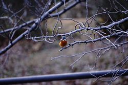 �J���Z�~��3