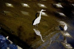 �J���Z�~��4