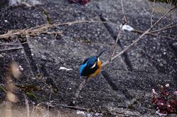 �J���Z�~��4