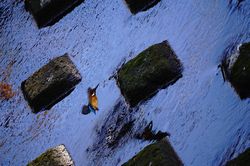 �J���Z�~��5