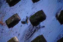 �J���Z�~��6