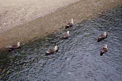 �J���K��6