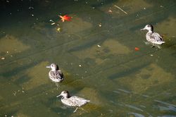 �R�K��3�H2