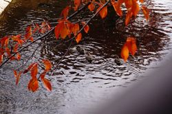 �R�K��11�H�̂���3�H