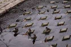 16�H�̂�����10�H