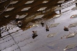 16�H�̂�����6�H