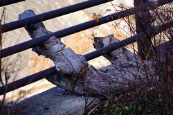 ���R�̌|�p ����2