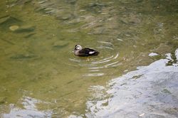 �J���K��