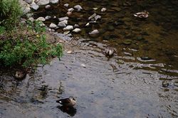 �J���K���}�K��