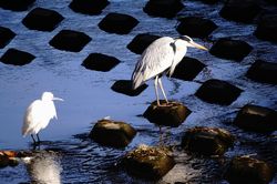 �_�C�T�M�E�R�T�M